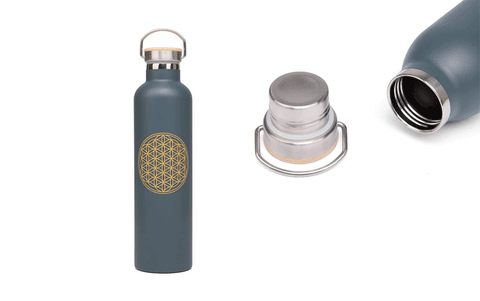 Trauks / termoss ūdens līdzņemšanai (zieds, pelēks), 600ml