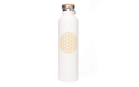 Trauks / termoss ūdens līdzņemšanai, 1L