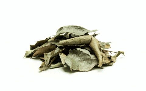 Curry leaves (karija lapas), 20g