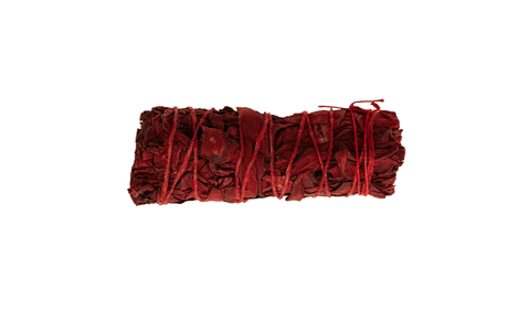 Salvija - Dragon's blood (kaltēta), 10 cm