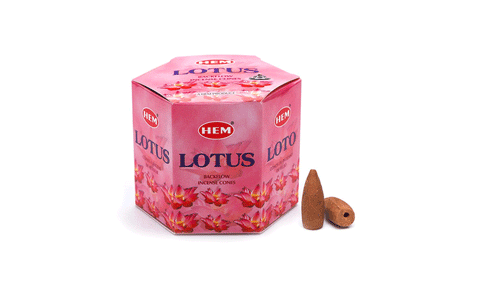 Lotus backflow (Hem) 40 konusi