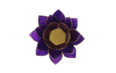 Svečturs Lotusa zieds, sudraba rāmītis