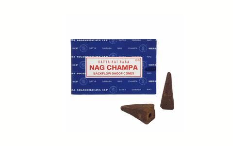 Satya Nag champa backflow konusi