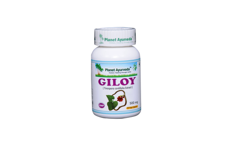 Giloy (Guduči) P.A., 60 kaps.