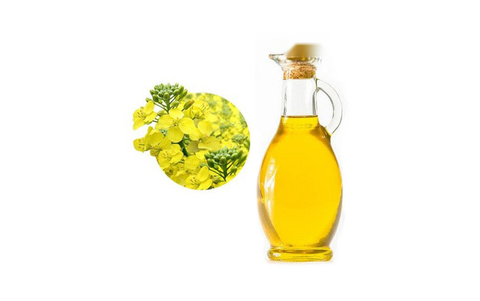 Camelina eļļa (sējas idra; Duo Ag), 250ml