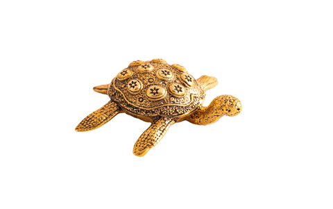 Bruņurupucis, 4,5 cm