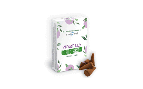 Violet Lily konusi