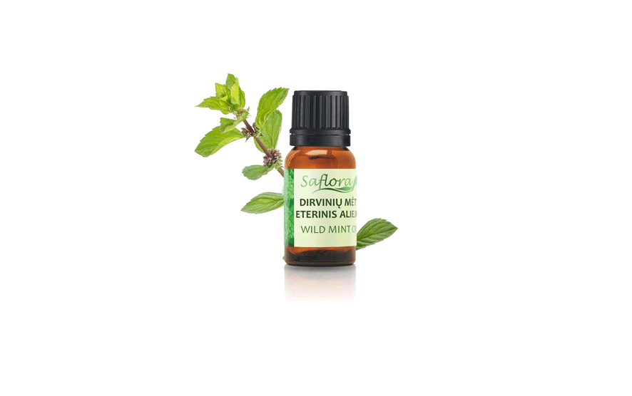 Savvaļas piparmētras ēteriskā eļļa, 5ml, Saflora – RUDRA yoga & healthy ...