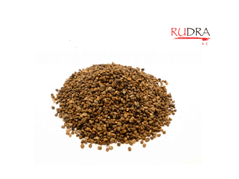 Green Cardamom seeds (zaļā kardamona sēklas) BIO, 50g