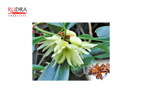 Zvaigžņu anīss (Calendula), 5ml