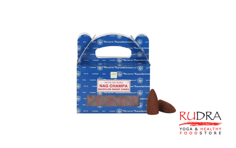 Satya Nag champa backflow konusi