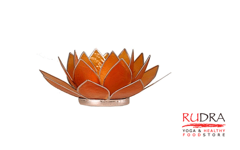 Svečturs Lotusa zieds, sudraba rāmītis