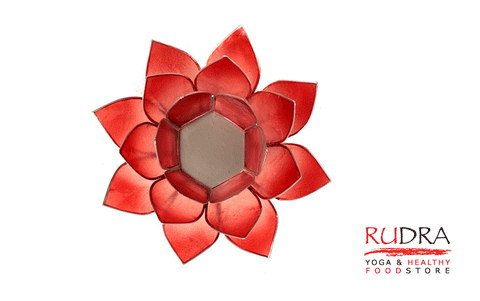 Svečturs Lotusa zieds, sudraba rāmītis