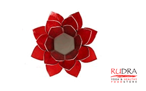 Svečturs Lotusa zieds, sudraba rāmītis