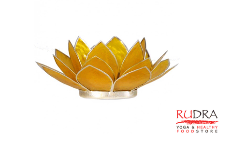 Svečturs Lotusa zieds, sudraba rāmītis