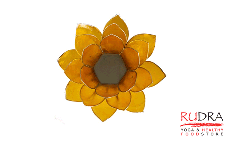 Svečturs Lotusa zieds, sudraba rāmītis