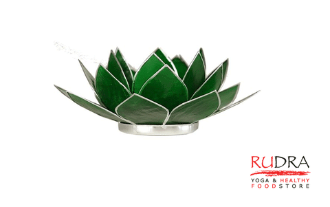 Svečturs Lotusa zieds, sudraba rāmītis